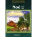 Histoire de "Noé" (Nûh) [Grand Livre Illustré]